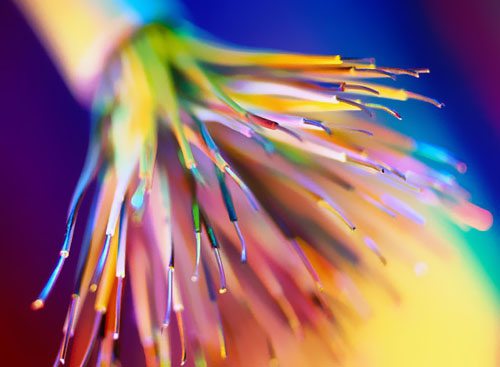 �а͹��w��|�(xi��ng)Ŀһ�ڹ���������ǰһ���깤