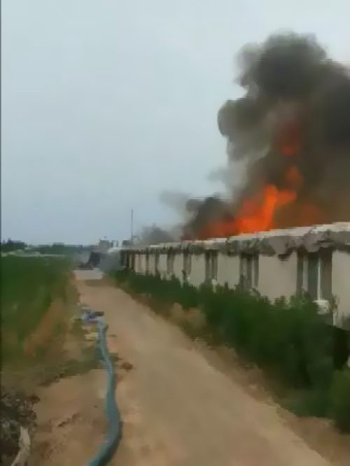 ������Ȼ�@����������ԭ����������